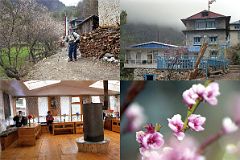 Lukla To Namche Bazaar 17 Jerome Ryan With Cherry Blossoms At Monjo Mount Kailash Lodge In May 2000